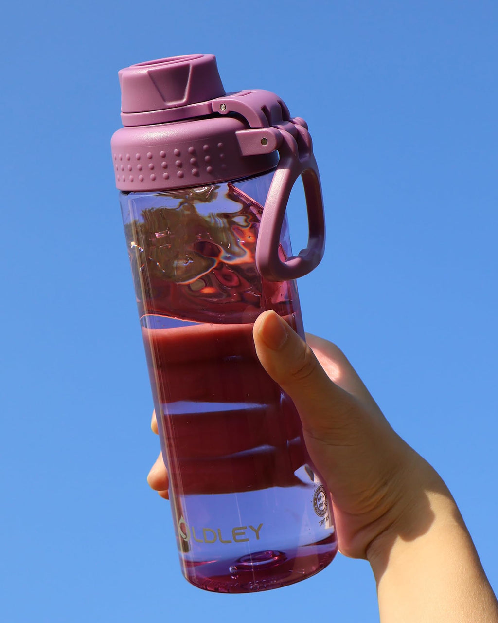 OLDLEY Water Bottles 20oz BPA Free Tritan Water Bottle with Carry Handle and Spout Lid, Leakproof Kids Water Bottle for Home,Travel, School, Outdoors, Transparent