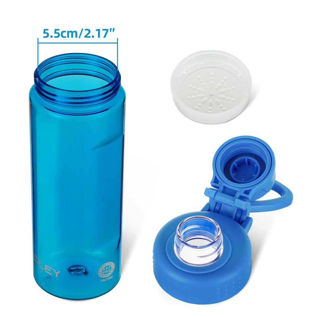 OLDLEY Water Bottles 20oz BPA Free Tritan Water Bottle with Carry Handle and Spout Lid, Leakproof Kids Water Bottle for Home,Travel, School, Outdoors, Transparent