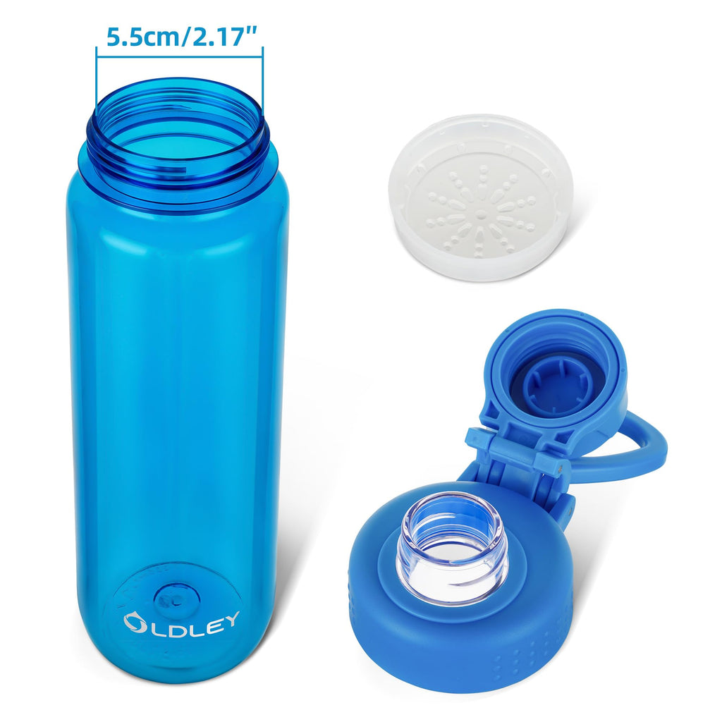 OLDLEY Water Bottles 20oz BPA Free Tritan Water Bottle with Carry Handle and Spout Lid, Leakproof Kids Water Bottle for Home,Travel, School, Outdoors, Transparent
